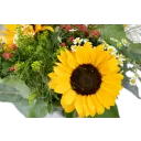 bouquet of sunflower